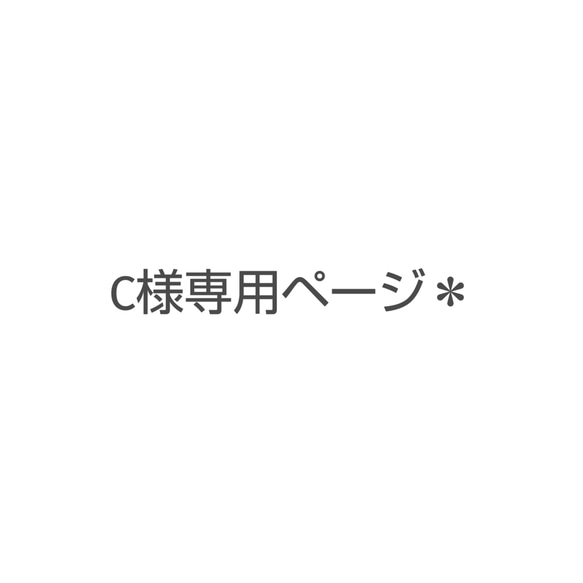 C様専用ページ＊給食セット 1枚目の画像