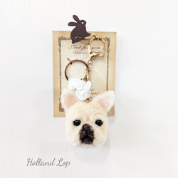 エキゾチックショートヘア 羊毛フェルト ぬいぐるみ 猫 置き物 送料