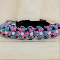 パラコード首輪ターコイズブルー×ブラックカラーのベルトタイプです