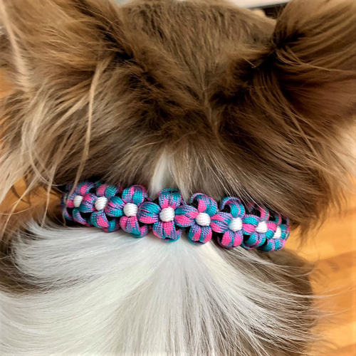 ミニチュアローズ柄(ブラック)わんちゃん猫ちゃん用襟付首輪 ピンク