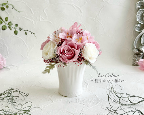 bc4bc0c9cc2ca9379368421c7d74c6