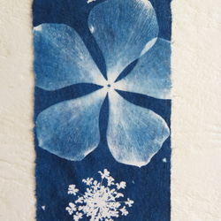 植物のシルエット。サイアノタイプ カード (封筒付き) ボタニック サイアノタイプ カード (封筒付き) 4枚目の画像