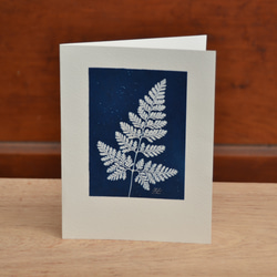 植物のシルエット。サイアノタイプ カード (封筒付き) ボタニック サイアノタイプ カード (封筒付き) 2枚目の画像