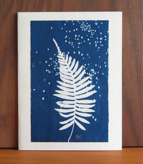植物のシルエット。サイアノタイプ カード (封筒付き) ボタニック サイアノタイプ カード (封筒付き) 1枚目の画像