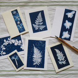 植物のシルエット。サイアノタイプ カード (封筒付き) ボタニック サイアノタイプ カード (封筒付き) 3枚目の画像