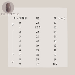 測定用ネイルチップ 13枚目の画像