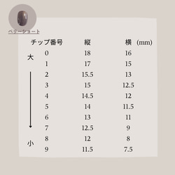 測定用ネイルチップ 5枚目の画像