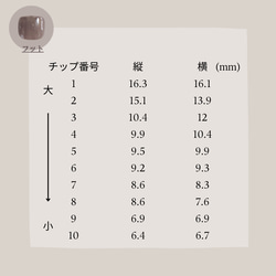 測定用ネイルチップ 16枚目の画像