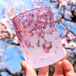 【再販2】桜・さくら・サクラ 1枚目の画像