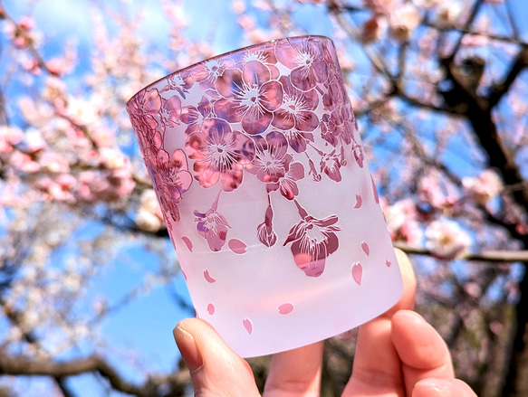 【再販2】桜・さくら・サクラ 1枚目の画像