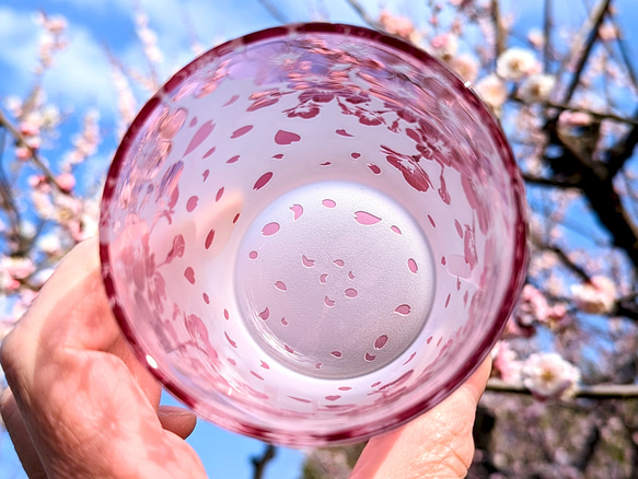 【再販2】桜・さくら・サクラ 2枚目の画像