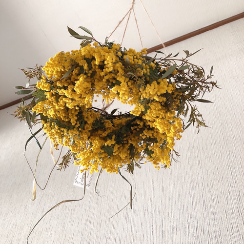 ミモザフライングリース2 ミモザフライングリース2