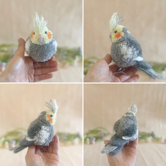 鳥のうちの子ぽんぽん（大きいサイズ）　　　オカメインコ アキクサインコ コザクラインコ サザナミインコ シロハラインコ 15枚目の画像