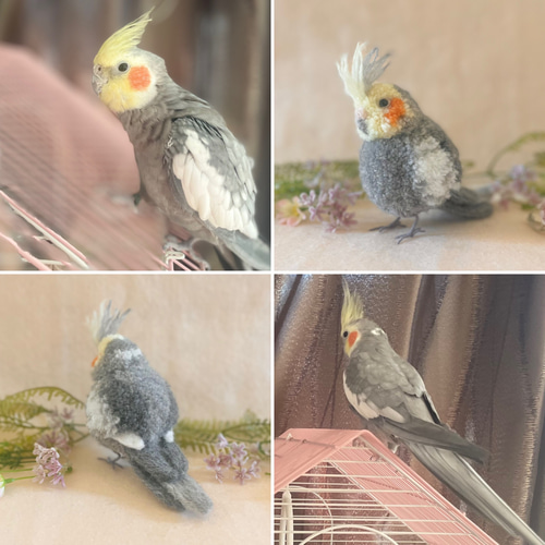 シロハラインコ オカメインコ アキクサインコ コザクラインコ インコ リュック