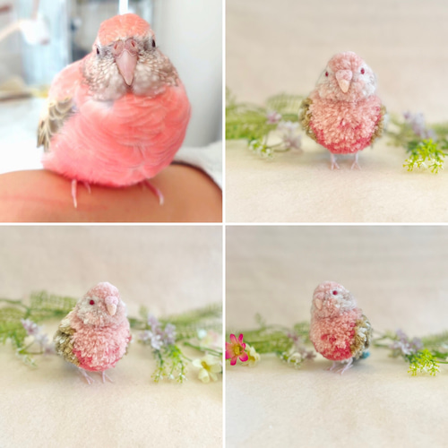 シロハラインコ オカメインコ アキクサインコ コザクラインコ インコ リュック