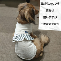 犬服  ストライプフリル♡タンクトップ 春 5枚目の画像