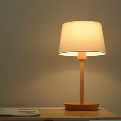 belaDESIGN ベラデザイン　Plate Lamp 2枚目の画像