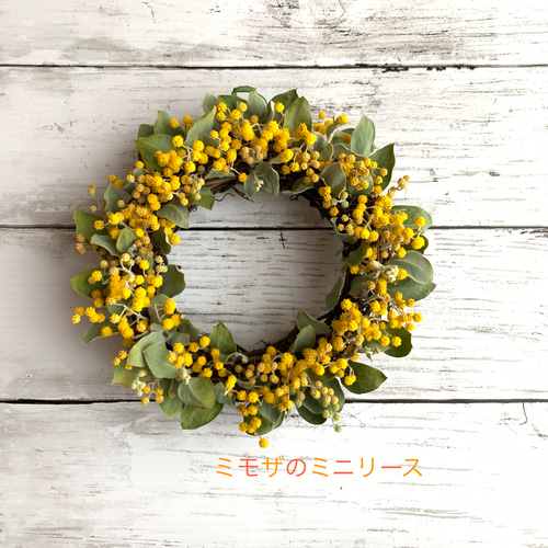 Spring うららかな春ミモザのハーフリース23〜36cm