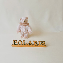 手のひらサイズのテディベア（オトナ色マルチ） ぬいぐるみ POLARIS