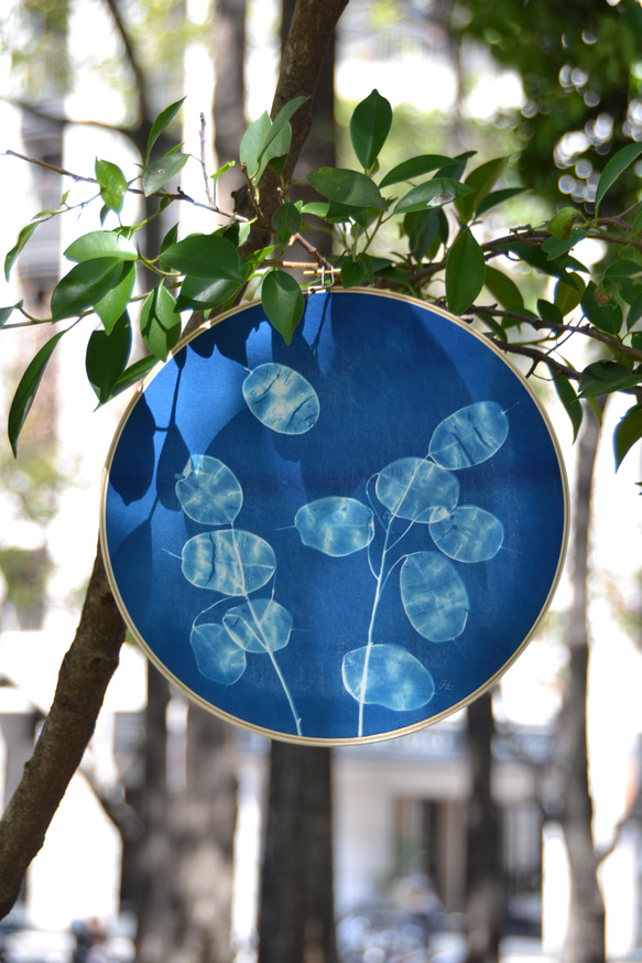 植物剪影。藍曬掛飾 Botanic Cyanotype Decoration 第2張的照片