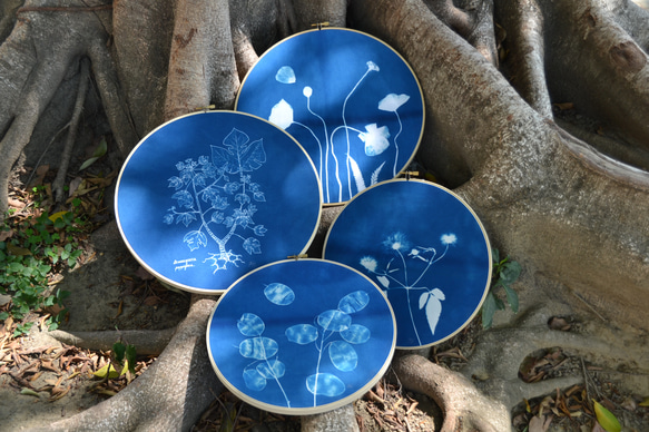 植物剪影。藍曬掛飾 Botanic Cyanotype Decoration 第5張的照片