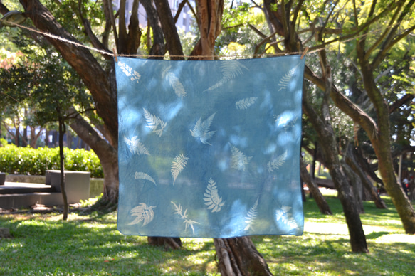 藍曬絲棉方巾 - 蕨美 Botanic Cyanotype Square Scarf - Ferns 第2張的照片