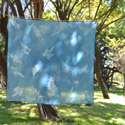 藍曬絲棉方巾 - 蕨美 Botanic Cyanotype Square Scarf - Ferns 第1張的照片