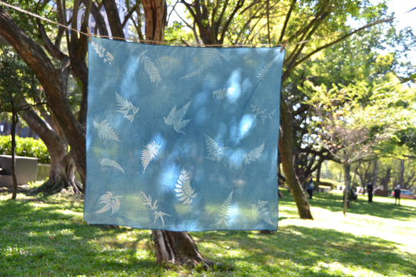 藍曬絲棉方巾 - 蕨美 Botanic Cyanotype Square Scarf - Ferns 第1張的照片