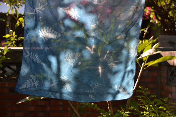 藍曬絲棉方巾 - 蕨美 Botanic Cyanotype Square Scarf - Ferns 第3張的照片