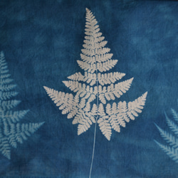 藍曬掛布 - 霧裡的蕨 Botanic Cyanotype Decoration - Ferns 第4張的照片