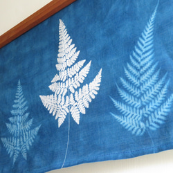 藍曬掛布 - 霧裡的蕨 Botanic Cyanotype Decoration - Ferns 第2張的照片