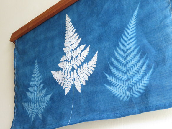 藍曬掛布 - 霧裡的蕨 Botanic Cyanotype Decoration - Ferns 第2張的照片