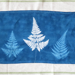 藍曬掛布 - 霧裡的蕨 Botanic Cyanotype Decoration - Ferns 第3張的照片