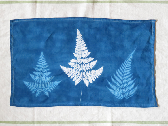 藍曬掛布 - 霧裡的蕨 Botanic Cyanotype Decoration - Ferns 第3張的照片