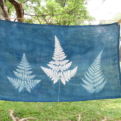 藍曬掛布 - 霧裡的蕨 Botanic Cyanotype Decoration - Ferns 第5張的照片