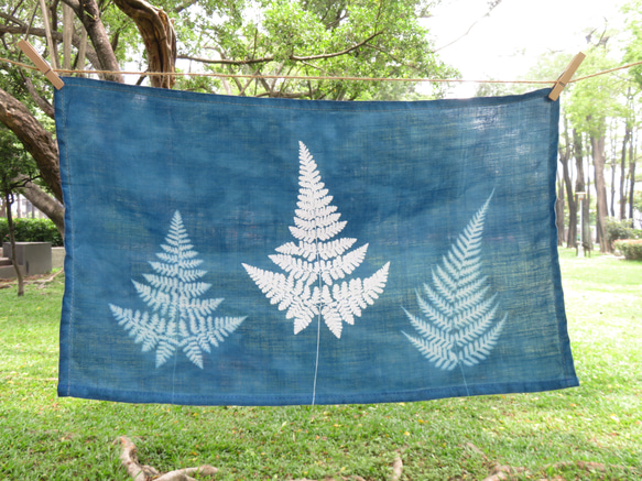 藍曬掛布 - 霧裡的蕨 Botanic Cyanotype Decoration - Ferns 第5張的照片