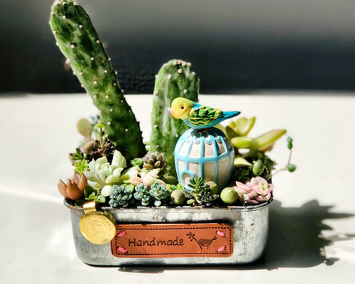 b770837e98f66c5a42fb9a48d60dbe