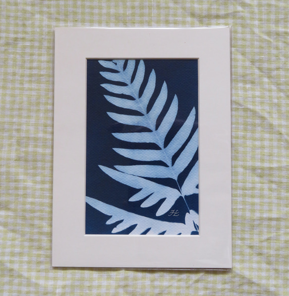 植物剪影。藍曬框畫 Botanic Cyanotype Framed Art Piece 第2張的照片