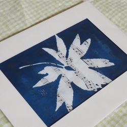 植物剪影。藍曬框畫 Botanic Cyanotype Framed Art Piece 第5張的照片