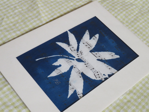 植物剪影。藍曬框畫 Botanic Cyanotype Framed Art Piece 第5張的照片