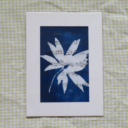 植物剪影。藍曬框畫 Botanic Cyanotype Framed Art Piece 第4張的照片