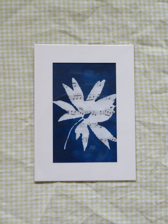 植物剪影。藍曬框畫 Botanic Cyanotype Framed Art Piece 第4張的照片