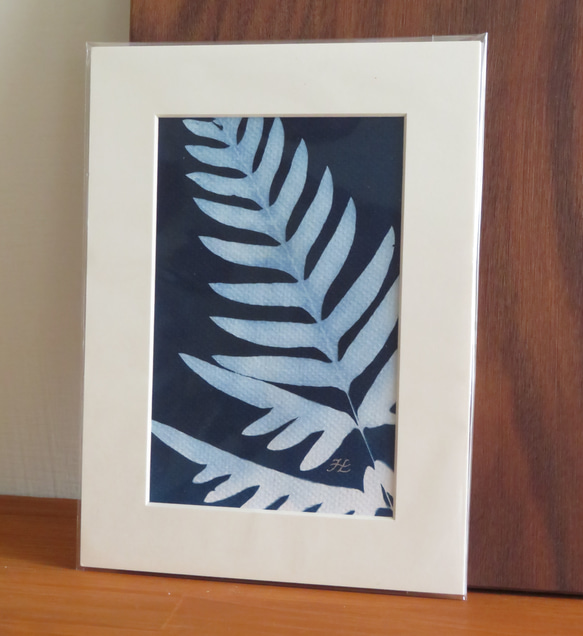 植物剪影。藍曬框畫 Botanic Cyanotype Framed Art Piece 第3張的照片