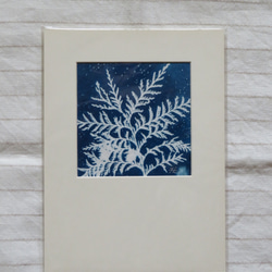 植物剪影。藍曬框畫 Botanic Cyanotype Framed Art Piece 第2張的照片