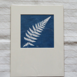 植物剪影。藍曬框畫 Botanic Cyanotype Framed Art Piece 第4張的照片