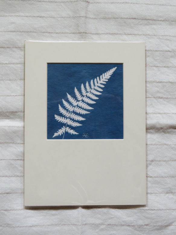 植物剪影。藍曬框畫 Botanic Cyanotype Framed Art Piece 第4張的照片