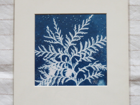 植物剪影。藍曬框畫 Botanic Cyanotype Framed Art Piece 第3張的照片