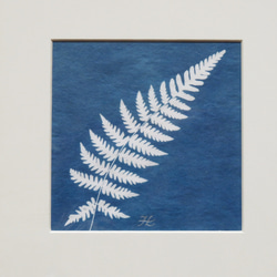植物のシルエット。植物シアノタイプ額入りアートピース 5枚目の画像