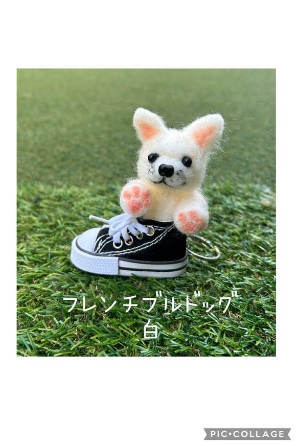 ミニスニーカー入り　わんちゃんたち！　キーチャームになってます 13枚目の画像