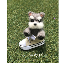 ミニスニーカー入り　わんちゃんたち！　キーチャームになってます 14枚目の画像